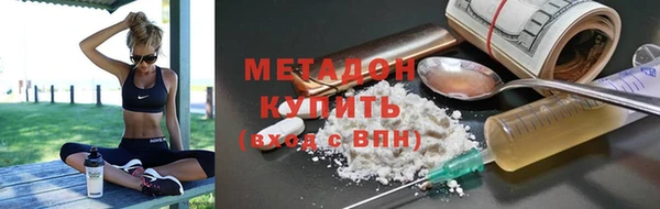 прущие грибы Алзамай