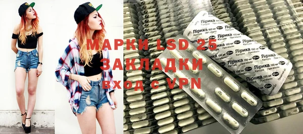 прущие грибы Алзамай