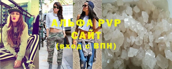 прущие грибы Алзамай