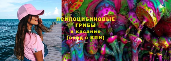 a pvp Алексин