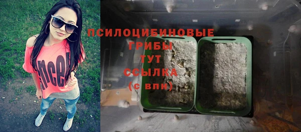 синтетический гашиш Алексеевка