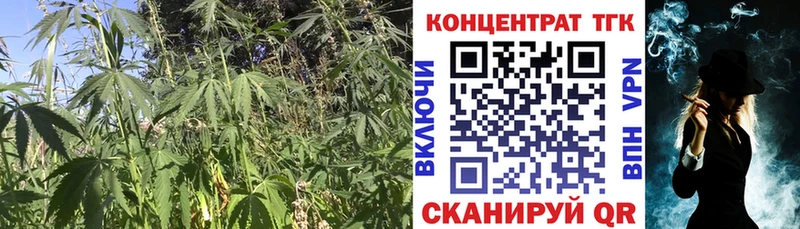ТГК Wax  Батайск 