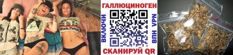 Галлюциногенные грибы Psilocybe  Батайск 